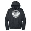 Heavy Blend  Hooded Sweatshirt Thumbnail
